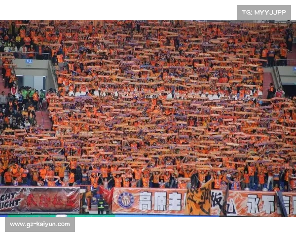 海口加强高铁专列调度满足球迷观赛出行需求保障措施 海口加强高铁专列调度满足球迷观赛出行需求保障措施